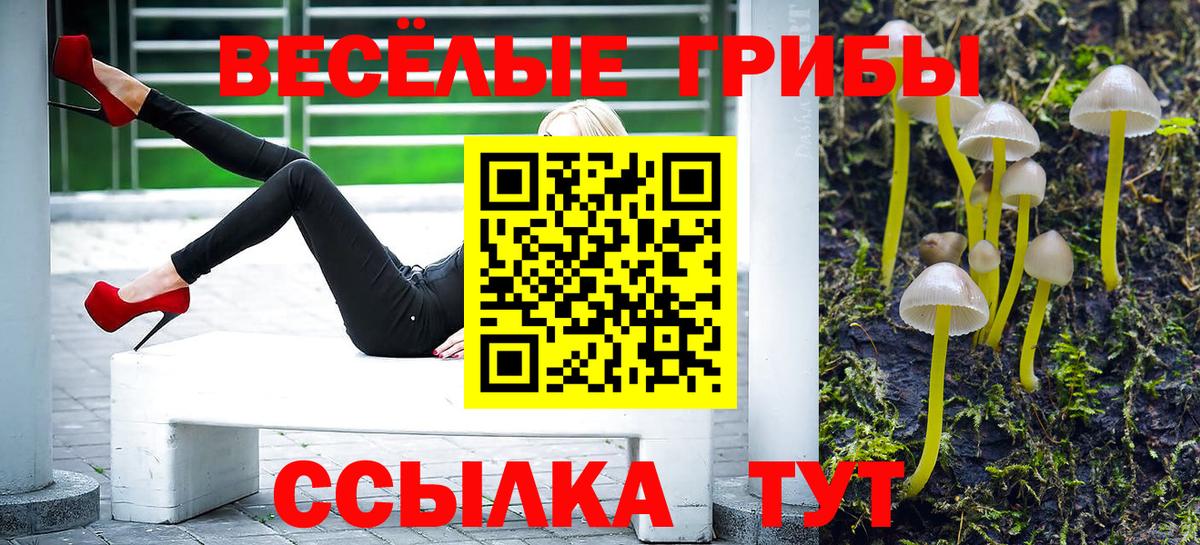 Ступино  Псилоцибиновые грибы Magic Shrooms  Псилоцибиновые грибы MAGIC MUSHROOMS  Вход с VPN 